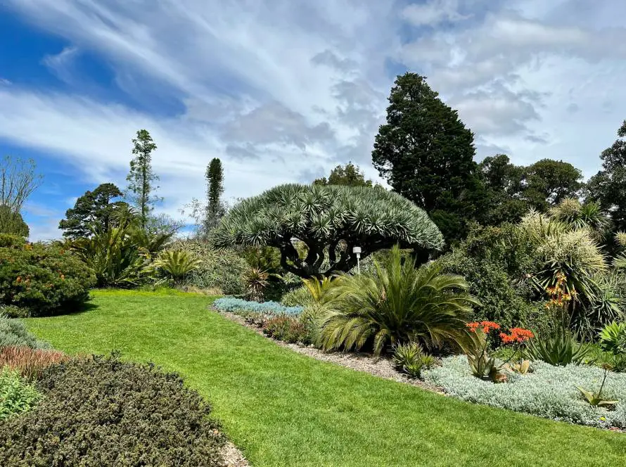 landscaped garden in wellington